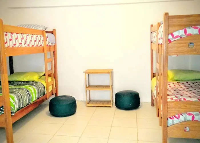 Hostel The Grasshopper Cusco