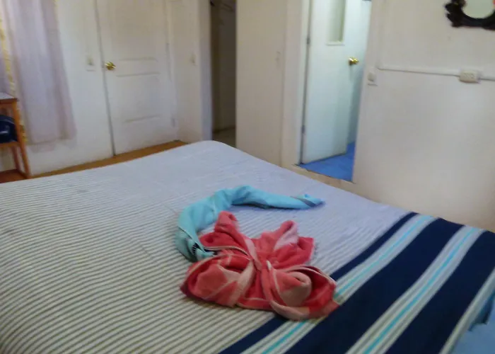 The Grasshopper Hostel