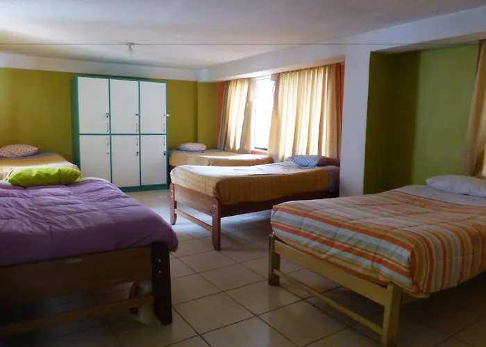 Hostel The Grasshopper Cusco