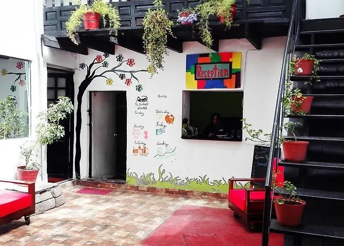 The Grasshopper Hostel
