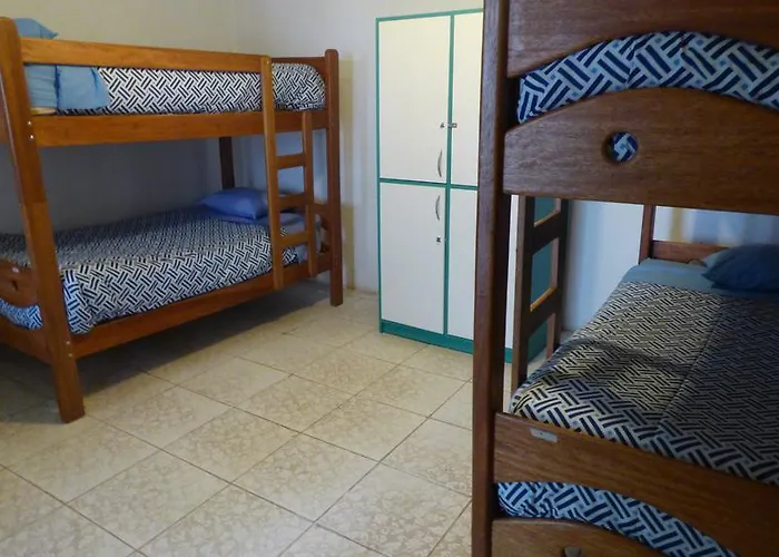 Hostel The Grasshopper *