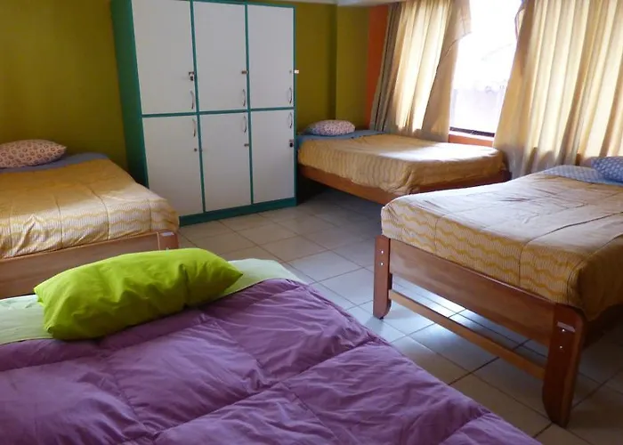 Hostel The Grasshopper *