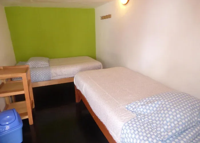 The Grasshopper Hostel