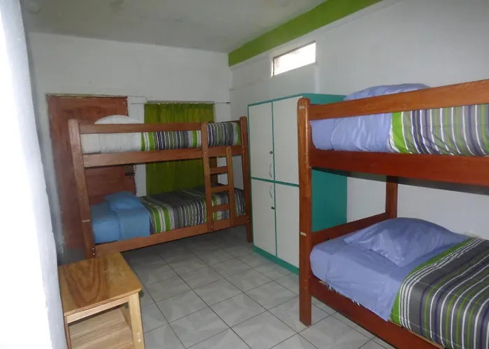 The Grasshopper Hostel
