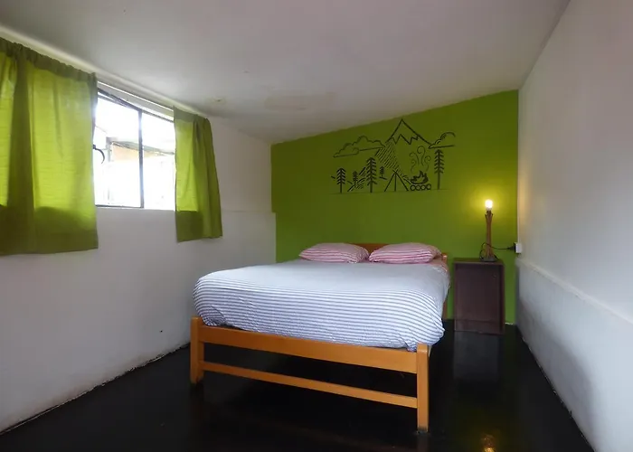 The Grasshopper Hostel