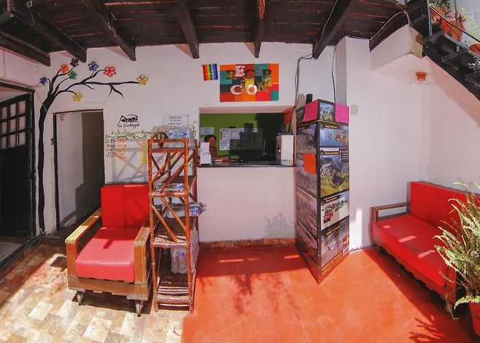 The Grasshopper Hostel *